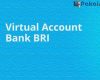 Apa Itu Virtual Account BRI