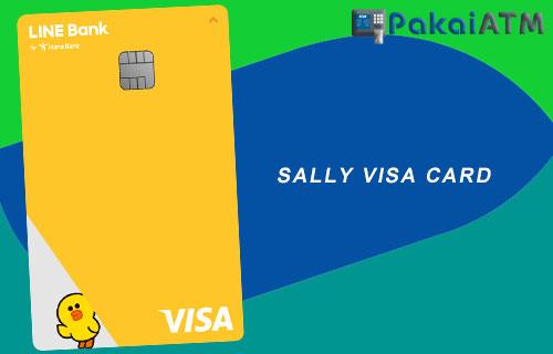 3. Sally Visa Card
